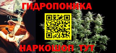 прущие грибы Коммунар
