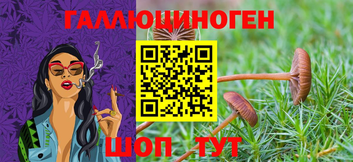 Галлюциногенные грибы ЛСД  Галлюциногенные грибы Cubensis  Кострома  Вход с VPN 