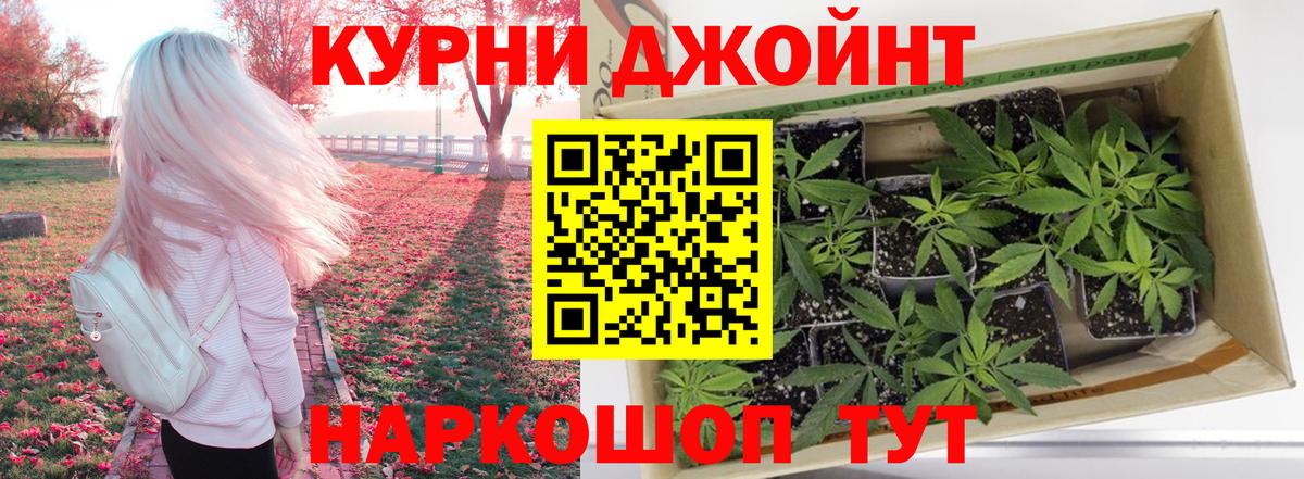 Конопля план  Конопля OG Kush  Кострома  Конопля сатива  Вход с VPN 